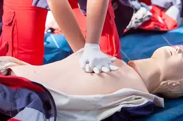 contrôle armoire à pharmacie Brest-4