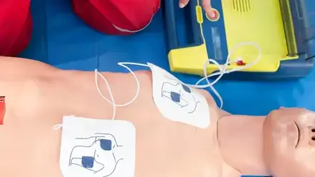 contrôle armoire à pharmacie Bretagne-2