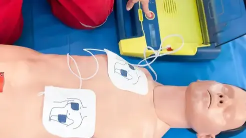 formation premier secours Brest-3