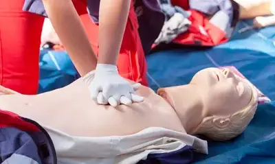 formation premier secours Quimper-5